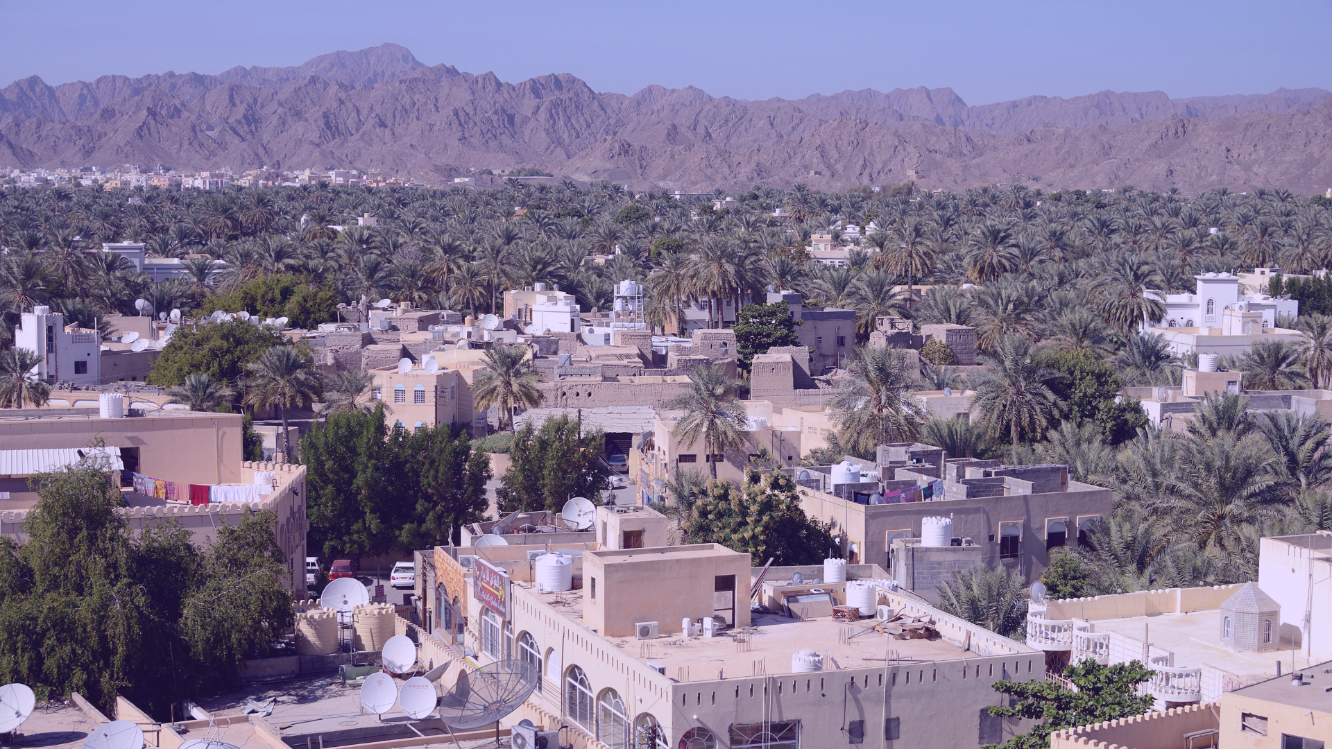 Digital Marketing Companies in Nizwa